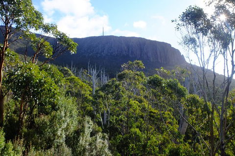 Mt. Wellington Morning Hike + Afternoon Beer & History Walk - Sydneys Hotel 4