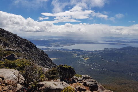 Mt. Wellington Morning Hike + Afternoon Beer & History Walk - Sydneys Hotel 5
