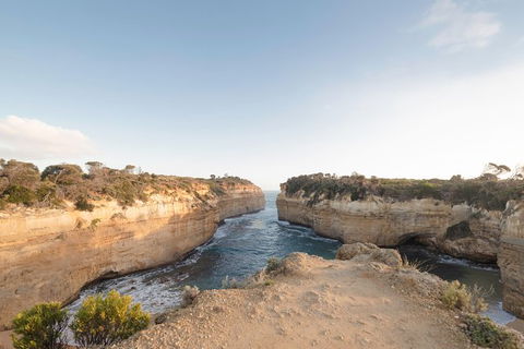 PRIVATE Great Ocean Road Tour And 12 Apostles With Wildlife Spotting - Sydneys Hotel 1
