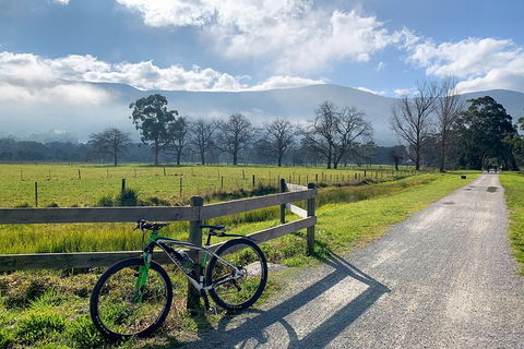 Aqueduct And Rail Trail Self-Guided Bike Tour In Warburton - Sydneys Hotel 5