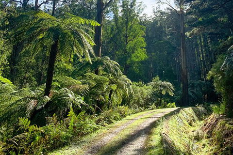 Aqueduct And Rail Trail Self-Guided Bike Tour In Warburton - Sydneys Hotel 3