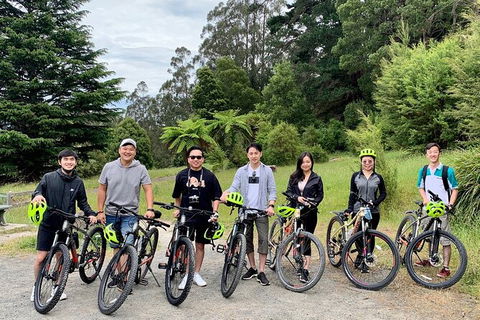 Aqueduct And Rail Trail Self-Guided Bike Tour In Warburton - Sydneys Hotel 0