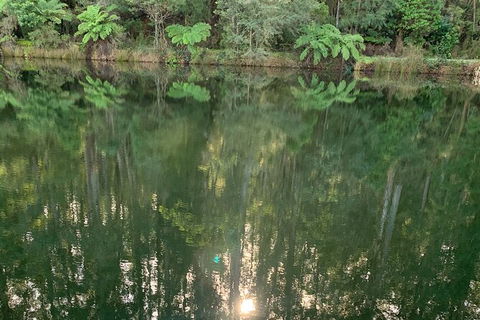 Hiking Tour To Aqueduct And Warburton Valley Lookout - Sydneys Hotel 2