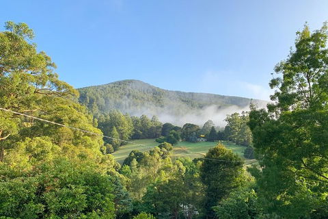 Hiking Tour To Aqueduct And Warburton Valley Lookout - Sydneys Hotel 0