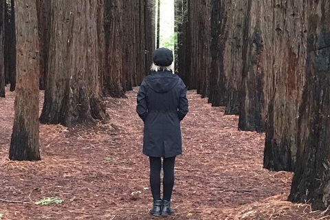 Private Aqueduct To California Redwoods Hiking Tour - Sydneys Hotel 1