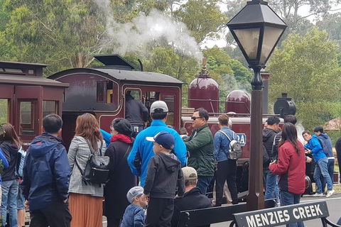 Day Tour Of Yarra Valley Puffing Billy And Rayners Orchard - Sydneys Hotel 40