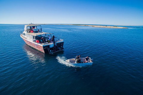 Abrolhos Islands 4 Day Fishing Charter - Sydneys Hotel 0
