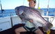Abrolhos Islands 4 Day Fishing Charter - thumb 7