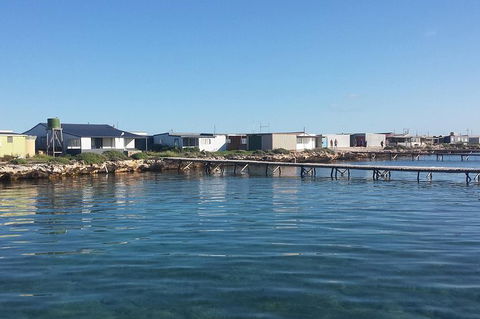 Abrolhos Islands 4 Day Fishing Charter - Sydneys Hotel 9