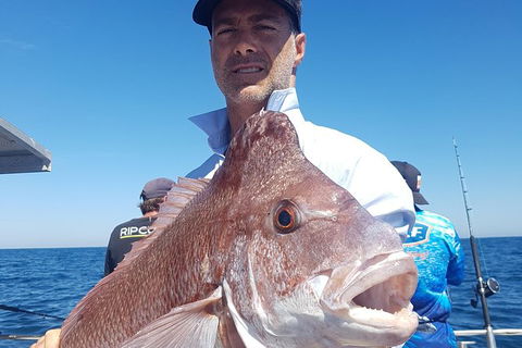 Abrolhos Islands 4 Day Fishing Charter - Sydneys Hotel 8