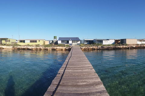 Abrolhos Islands 4 Day Fishing Charter - Sydneys Hotel 3