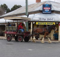 Bathurst Farm Experience - Sydneys Hotel