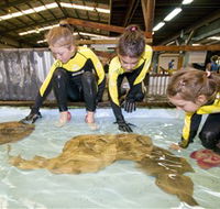 Australian Shark and Ray Centre - Sydneys Hotel