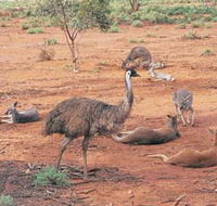 Hammond Park - Sydneys Hotel