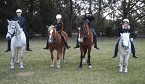 Valhalla Horse Riding - Sydneys Hotel 1
