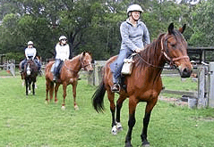 Valhalla Horse Riding - Sydneys Hotel 2