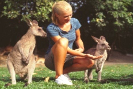 Jungle Tours And Trekking - Sydneys Hotel 1