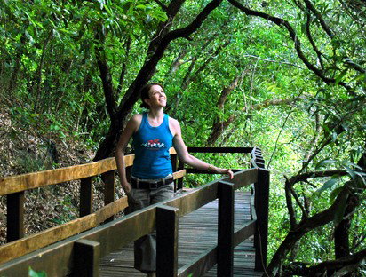 Jungle Tours And Trekking - Sydneys Hotel 4