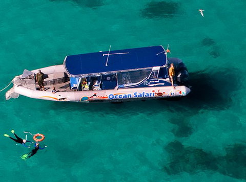 Jungle Tours And Trekking - Sydneys Hotel 5