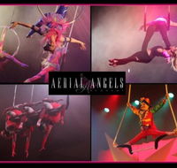 Aerial Angels - Sydneys Hotel