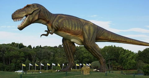 Palmersaurus Park - Sydneys Hotel 1