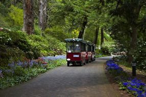 Book Kelmscott WA Attractions Sydneys Hotel Sydneys Hotel