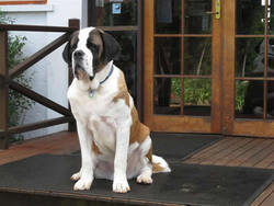 Mt Tamborine QLD Sydneys Hotel