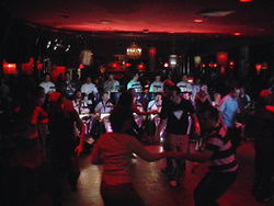 The Night Cat - Sydneys Hotel 1
