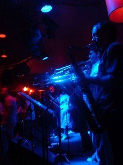 The Night Cat - Sydneys Hotel 2