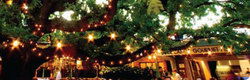 Neutral Bay NSW Sydneys Hotel