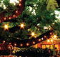 The Oaks - Sydneys Hotel