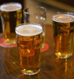 Federal Tavern - Sydneys Hotel 0