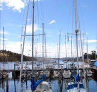 Oyster Cove Inn - Sydneys Hotel