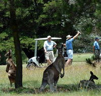 Glen Innes Golf Club - Sydneys Hotel
