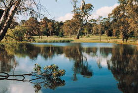 Echunga Golf Club Incorporated - Sydneys Hotel 1