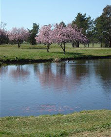 RMC Golf Club - Sydneys Hotel 0