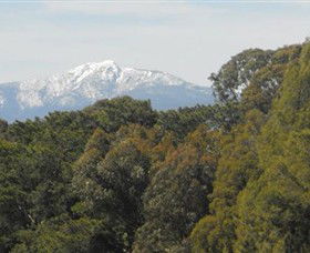 Mansfield Golf Club - Sydneys Hotel 3