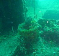 Wallaroo Scuba Club - Sydneys Hotel