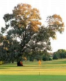 Cowra NSW Sydneys Hotel