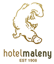 Maleny Hotel - Sydneys Hotel 0