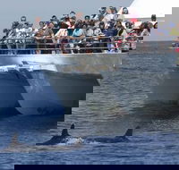 MoonshadowTQC Cruises - Sydneys Hotel