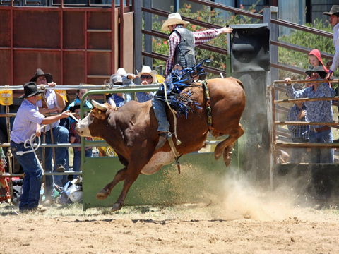 Jindabyne's Man From Snowy River Rodeo - Sydneys Hotel 2