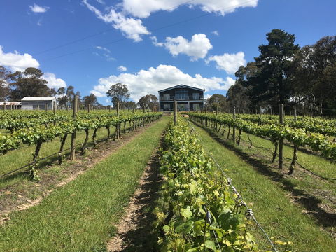 Mortimer's Diploma Of Taste - Sydneys Hotel 0