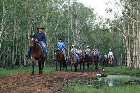 Night Horse Ride And Dinner - Sydneys Hotel 0