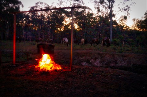 Night Horse Ride And Dinner - Sydneys Hotel 2