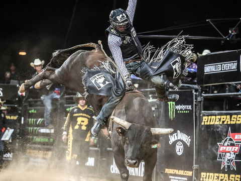 PBR Hawkesbury Stampede - Sydneys Hotel 0