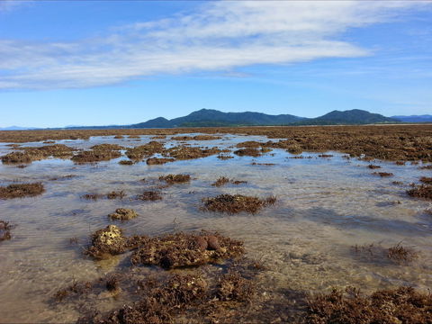 Walk To The Reef - Sydneys Hotel 0