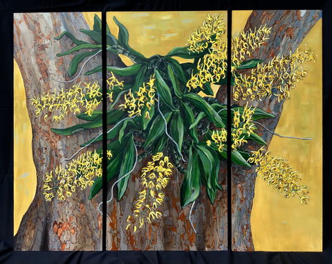 A Still Life - Solo Exhibition  Karen Sedaitis - Sydneys Hotel 1