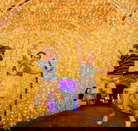 Christmas Lights Spectacular New Year's Eve at Hunter Valley Gardens - Sydneys Hotel