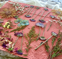 Introduction to Paper Making - Sydneys Hotel